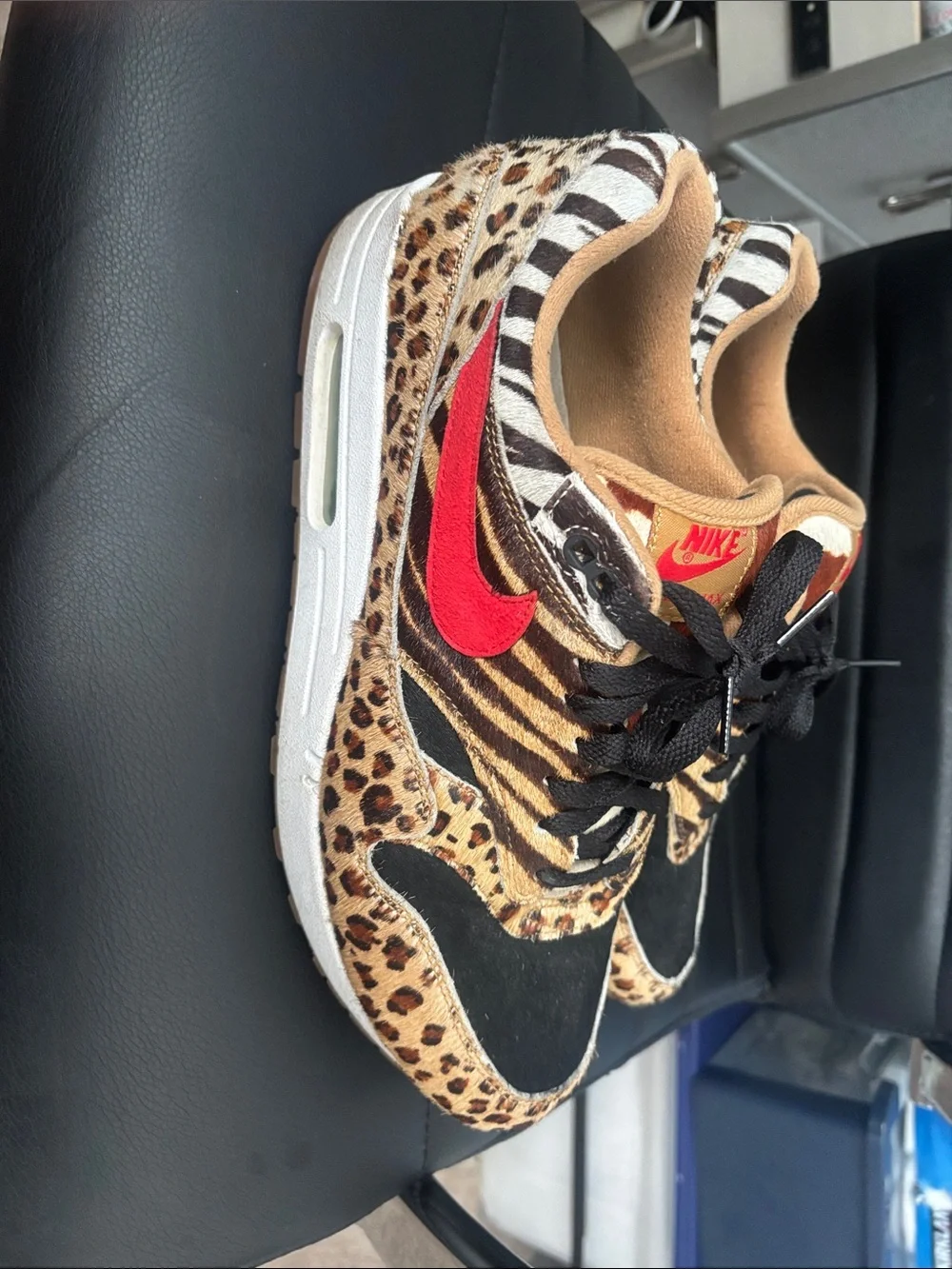 Nike bold animal
